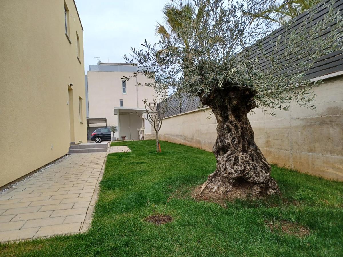 Apartments Leon 1 Novigrad Istria Exterior foto